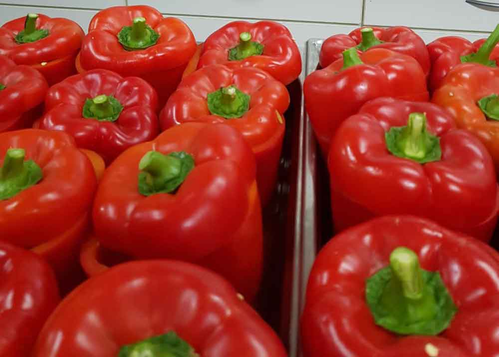 Bäckerei Fischerkeller Putzbrunn - Mittagessen 5